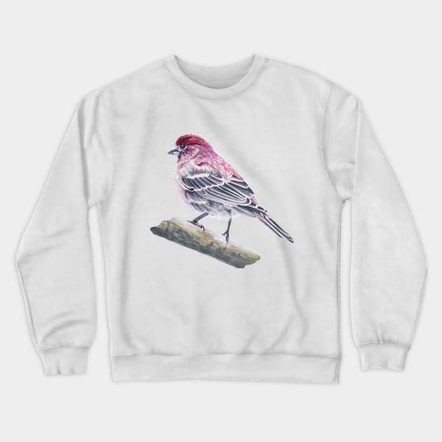 House Finch bird painting (no background) Crewneck Sweatshirt by EmilyBickell